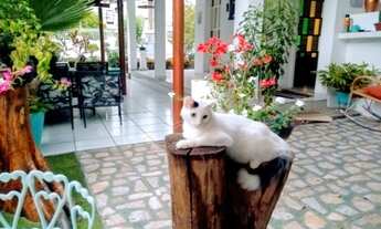 Imagem 3: Vendo casa enorme No Ipsep , 500m , 3 quartos mais dependência completa