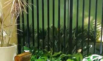 Imagem 3: Jardim das orquideas