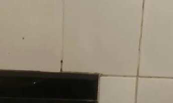 Imagem 5: Casa para alugar novo paraíso