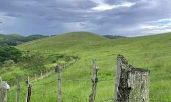 Imagem: Lote/Terreno para venda tem 1000 metros