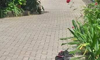 Imagem 5: Apartamento/ Casa