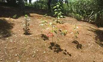 Imagem 7: Terreno 2340 m² - Centro (Cotia) - Cotia/SP