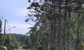 Imagem 3: Terreno no bairro Cipó em São Francisco de Paula!