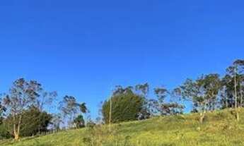 Imagem 5: VENDO TERRENO PARA CASA DE VERANEIO, POSSUI 800m²