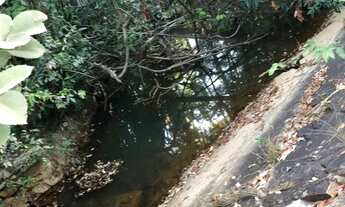 Imagem 7: Fazenda 18 alqueires com nascente 3km do asfalto