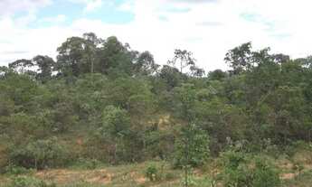 Imagem 7: A 2km do centro, terreno 5ha São Jose do Almeida