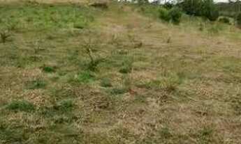 Imagem 2: Terreno à venda, 27000 m² por R$ 3.000.000,00 - Quarta Divisão - Ribeirão Pires/SP