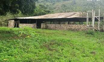 Imagem 4: /Terreno com 270 hectares na BR 174