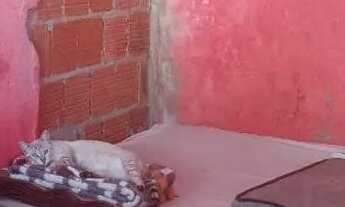 Imagem 7: Troca ou vendo avista