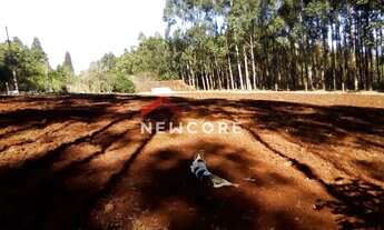 Imagem 6: Sítio em Estrada Alta Cruzinha - Cruzinha - São Francisco de Paula/RS