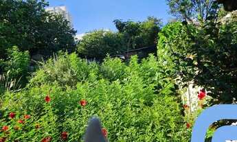 Imagem 6: TERRENO RESIDENCIAL em GOIÂNIA - GO, SETOR LESTE VILA NOVA