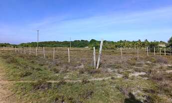 Imagem 7: Vendo terreno no caminho da praia do saco