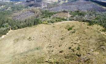Imagem 4: 1. Chegou a hora de trocar o barulho por paz: venha viver no campo!