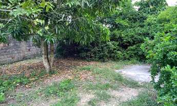 Imagem 3: Terreno para venda, nascente com 214m2 em Alagoinhas Velha-Alagoinhas-Ba