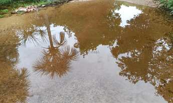 Imagem 4: Chacara de 3 hectares na estrada do manso 38 km da cidade de Cuiabá-MT