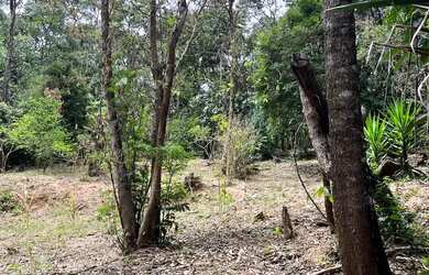 Imagem 3: Fazenda/Sítio/Chácara para venda com 4718 metros quadrados com 5 quartos
