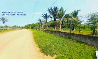 Imagem 6: Fazenda Sítio Chácara Ramal 28 de Agosto Iranduba 38.200m² Igarapé Rio Lago Financia Manau