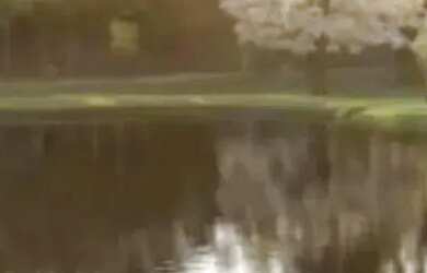 Imagem 3: Casa de condomínio para venda possui 940 metros quadrados