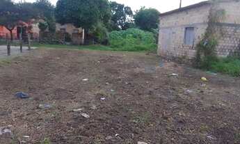 Imagem 5: Vendo terreno no Município de Apicum Açu - MA