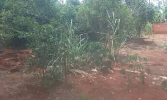 Imagem 6: Linda chácara a venda ,1 mil.metros quadrados,apenas venda