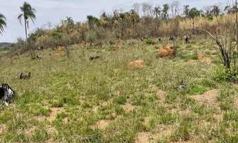 Imagem 6: 1. Chegou a hora de trocar o barulho por paz: venha viver no campo!