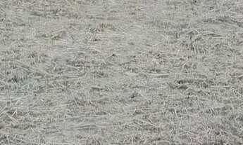 Imagem 4: VENDO TERRENO EM MANACAPURU