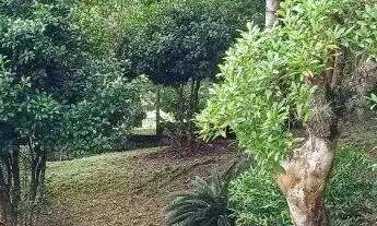 Imagem 2: Sítio a venda em Santo Antônio de Lisboa