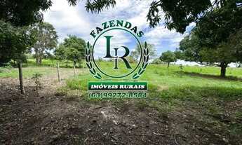 Imagem 5: Fazenda 100 Aqueires Dupla Aptidão Tocantins