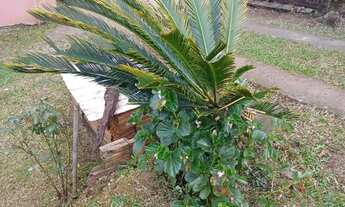 Imagem 2: Casa com 3 quartos e 1 banheiro. Bem localizada