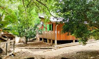 Imagem 4: Sítio em Estrada Alta Cruzinha - Cruzinha - São Francisco de Paula/RS