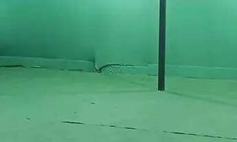 Imagem 4: Loja para venda shoping Itaigara, salvador-ba