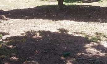 Imagem: Sítio com 3,5 alqueires na região do Xuri