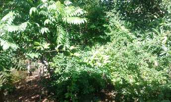 Imagem 3: Vendo ou troco Casa com 2 dormitórios