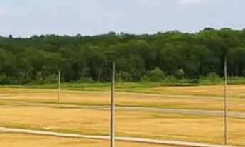 Imagem: Lotes amplos com preço baixo e parcelamento