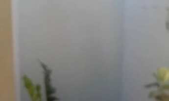 Imagem 4: Casa Barata no Albano