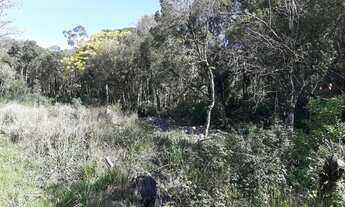 Imagem 3: Lote em Rua Edye Paulo Raymundo - Alpes Verdes - Canela/RS