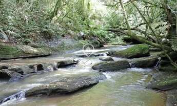 Imagem 2: Sítio em Rodovia RS-020 - Vera Cruz - Gravataí/RS