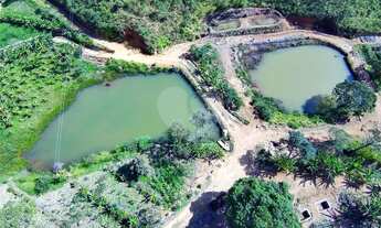 Imagem 2: Fazenda com 11 quartos à venda em Lavras Novas - MG
