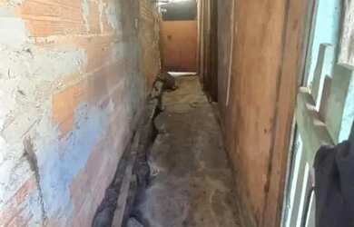 Imagem 2: AREA - JARDIM LAS VEGAS - SP