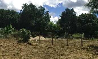 Imagem 2: Vendo Terreno em Cocalzinho de Goiás
