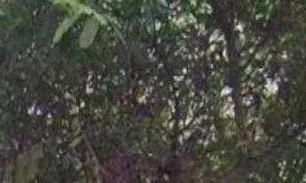 Imagem 3: Apartamento no Miolo de Icaraí