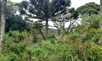 Imagem 4: Área Rural entre Rio Rufino/ Urupema