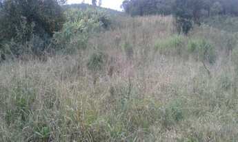 Imagem 5: Sítio!!! Chácara com venda por R$300.000