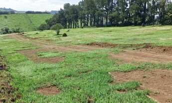 Imagem 5: T/26* Garanta já seu terreno com vista ampla