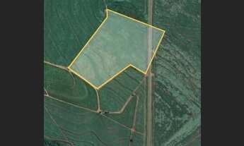 Imagem 2: Sitio 6.78 Alqueires Terra roxa ,sem benfeiturias ,somente área de plantil, topografia pla