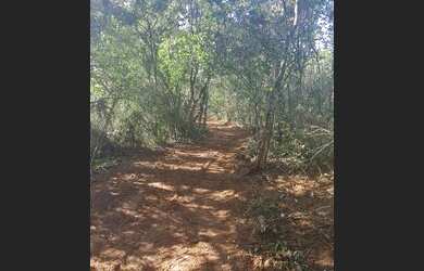 Imagem 7: Lindíssimas Chácaras escrituradas, localizadas em Viamão!