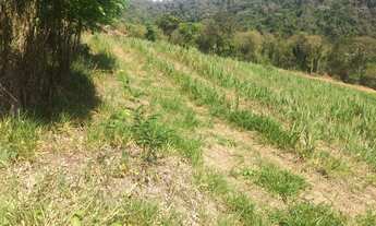 Imagem 4: Vendo terreno para chácaras na Zona Norte de SP