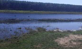 Imagem 4: Fazenda Ribas divisa com Suzano