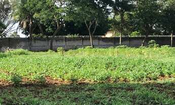 Imagem 6: Terreno - Ponte Alta - DF - 475 - 22.000 m²