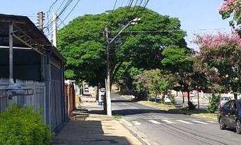 Imagem 3: Apartamento- Jd. Coneiçao- 2 dorm. à venda, 69 m² por R$ 330.000 - Jardim Conceição - Camp